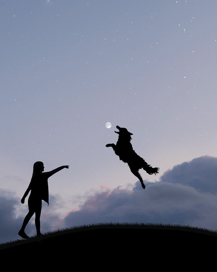 Silhouette photography of a person and dog at dusk, with the moon and stars above, captured by Lân Nguyen.
