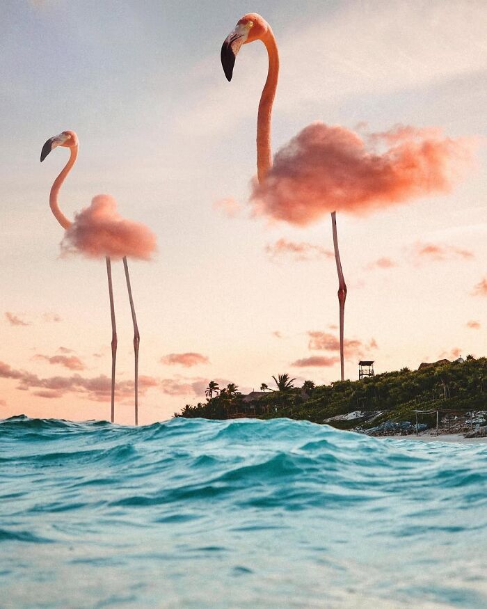 Surreal digital artwork by Ted Chin of flamingos with clouds as bodies standing tall over the ocean.