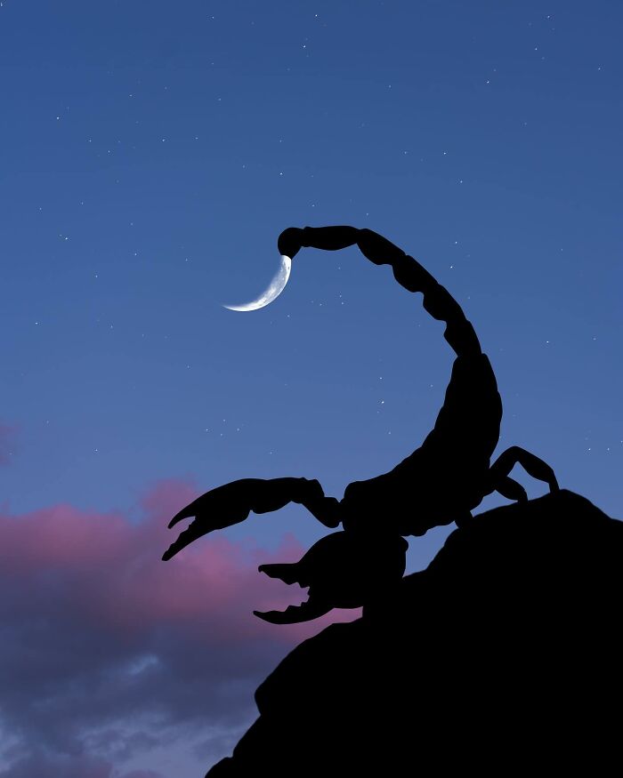 Silhouette of a scorpion against a twilight sky, capturing the crescent moon in silhouette photography.