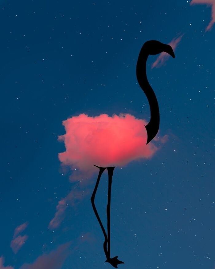Silhouette photography of a flamingo shape against a starry sky with a pink cloud.