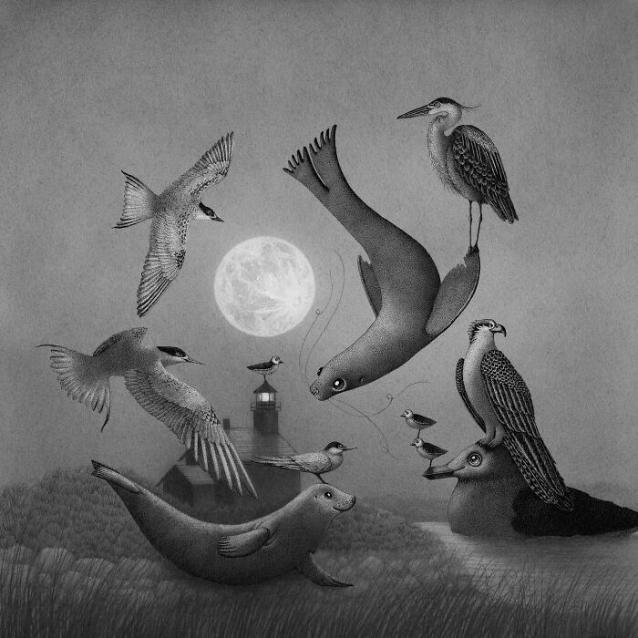 Ocean and nature-inspired illustration featuring birds and seals in a night scene with a lighthouse and full moon.