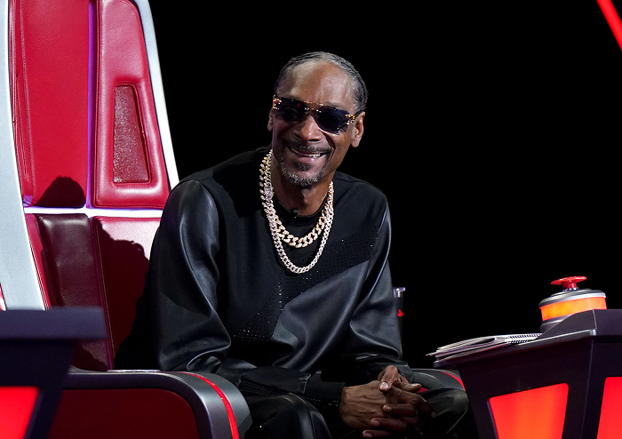 Snoop Dogg smiling, wearing sunglasses and chains, sitting on a panel chair, illustrating rap royalty style.