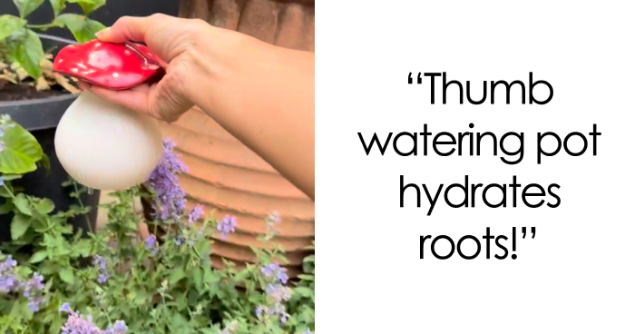 23 Plant Parent Must-Haves To Help Your Indoor Jungle Thrive