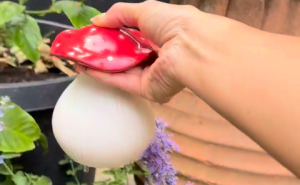 23 Plant Parent Must-Haves To Help Your Indoor Jungle Thrive