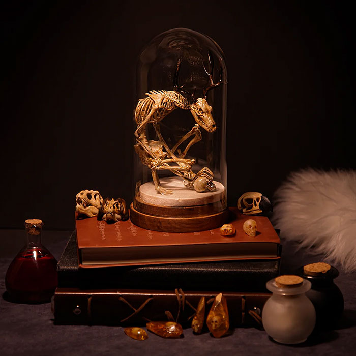 A creepy handmade craft featuring a small skeletal sculpture under a glass dome, surrounded by books and small skulls.