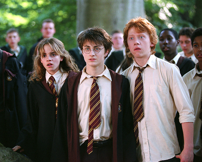 Three 'Harry Potter' characters in school uniforms, standing in a forest, looking surprised.