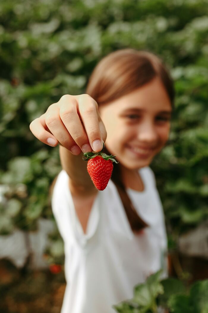 A smiling girl holding a fresh strawberry, standing in a green field.