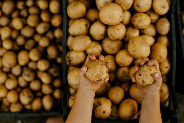Hands holding potatoes, part of a collection of weird items doctors removed from the body.