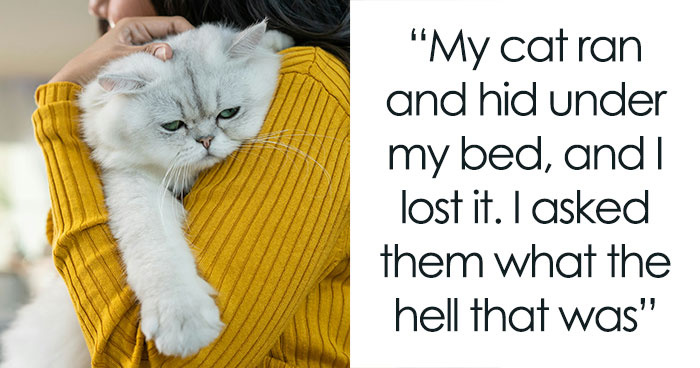 Person Is Shown The Door Immediately After Hurting Friend’s Cat, Doesn’t Get What The Big Deal Is