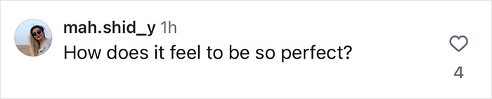 Instagram comment saying "How does it feel to be so perfect?" by user mah.shid_y with 4 likes.