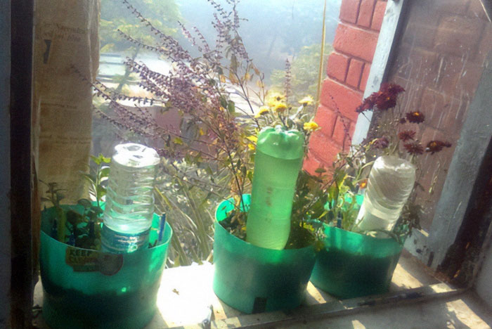 Recycled plastic planters in window aiding emergency preparedness and self-sustainability.