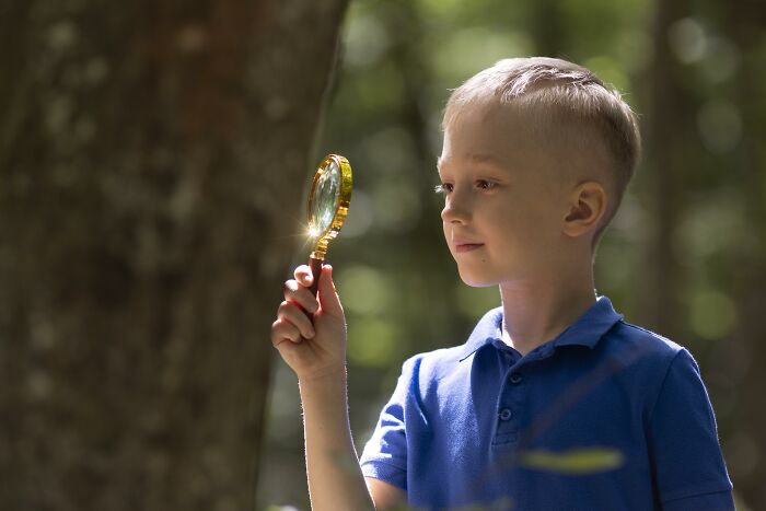 A child in a blue shirt examines a magnifying glass, hinting at hidden intelligence in a forest setting.