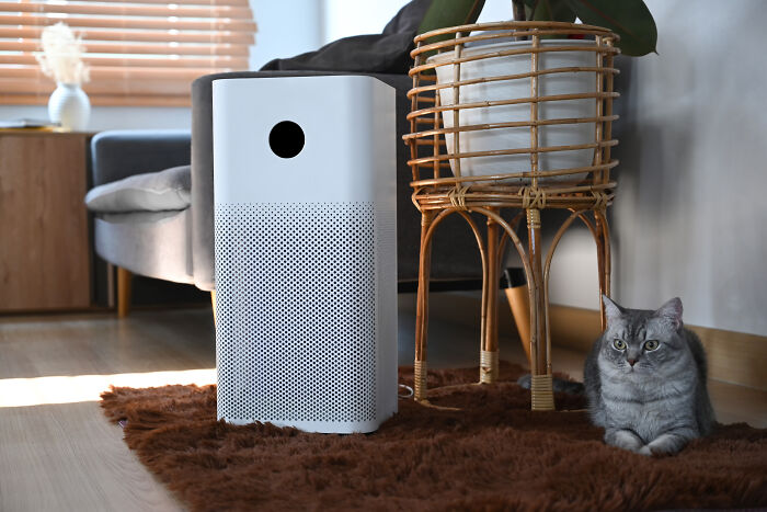 Air purifier beside a potted plant and a cat, enhancing indoor air quality and life impact.