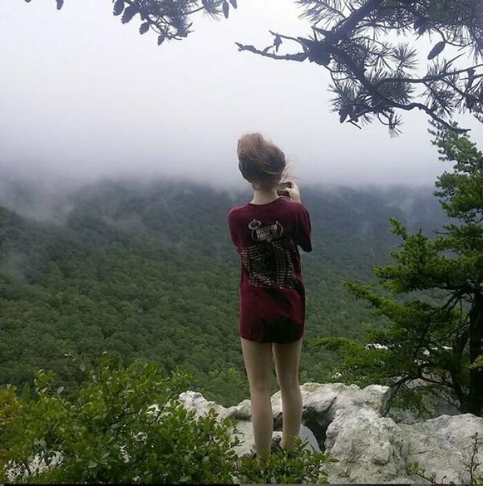Person standing on a cliff edge overlooking a foggy forest, capturing a seemingly normal photo with a hidden backstory.