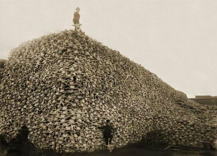 40 People Share The Scariest Photos They’ve Seen That Looked Normal To Them At First