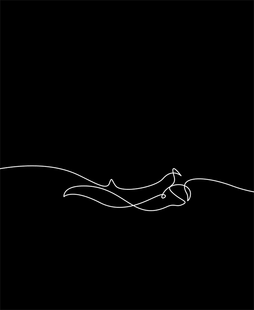 10 One-Line Animations To Remind Us Of Nature's Beauty And Fragility