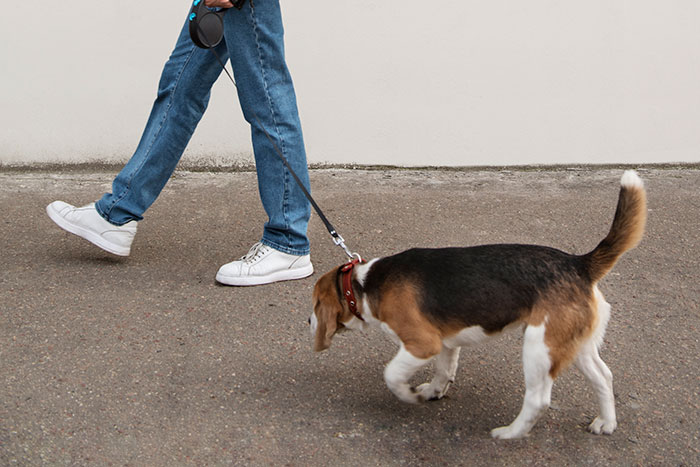 30 Men Share The Lies They Tell Their Girlfriends And Wives, And The Reason Is Surprisingly Sweet