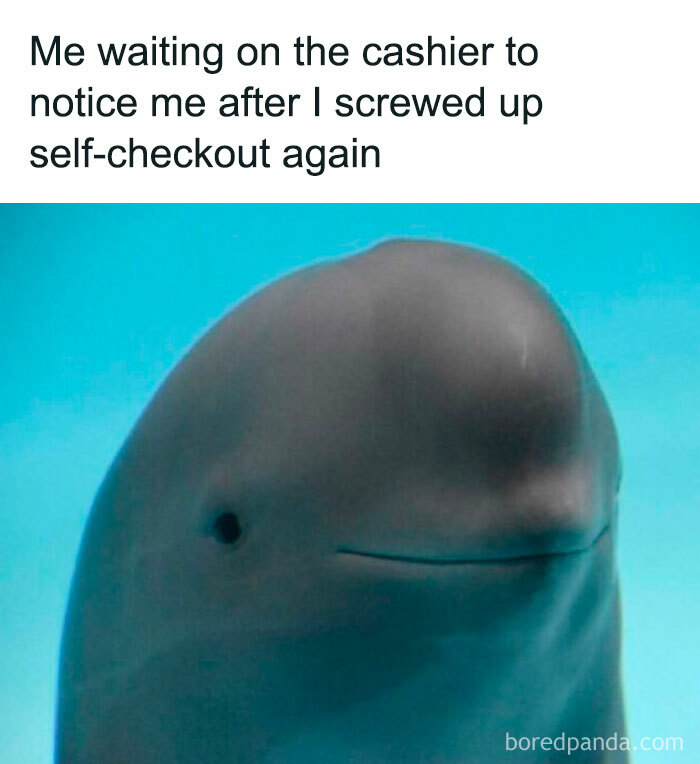 Relatable meme of a beluga whale with text about waiting for cashier help after a self-checkout error.