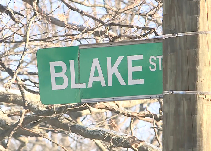 Blake Street sign on a wooden pole with barren trees in the background.