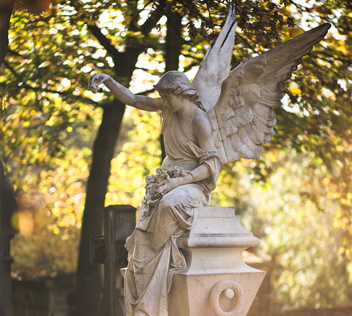 Angel statue in a sunlit park, symbolizing unforgettable coincidences.
