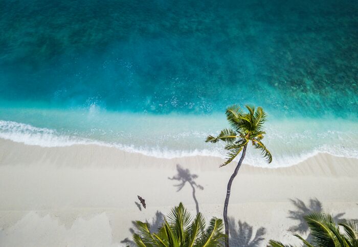 Aerial view of a stunning beach with turquoise water and palm trees casting shadows on the white sand.