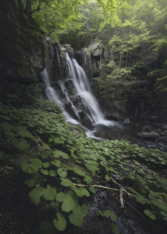Landscape photography of a serene waterfall surrounded by lush green forest.