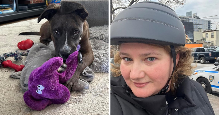 Pandas Discovered These 25 Fixes And Collectively Lost Their Minds