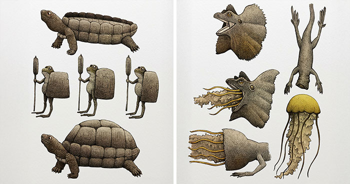 Surreal Zoology: 25 New Nonsensical Scientific Illustrations Of Wildlife By Tim Andraka