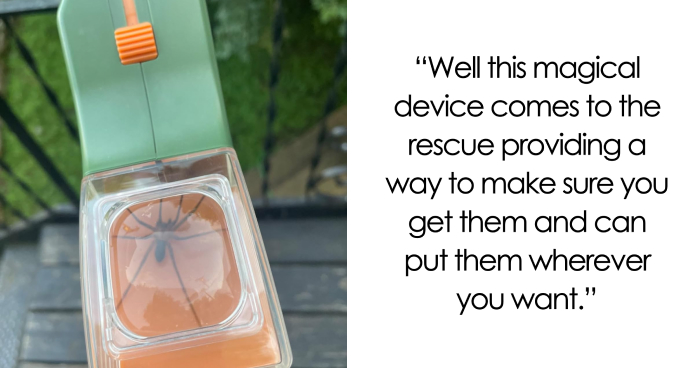 They Had One Job And Nailed It: 23 Specialized Finds Worth The Space