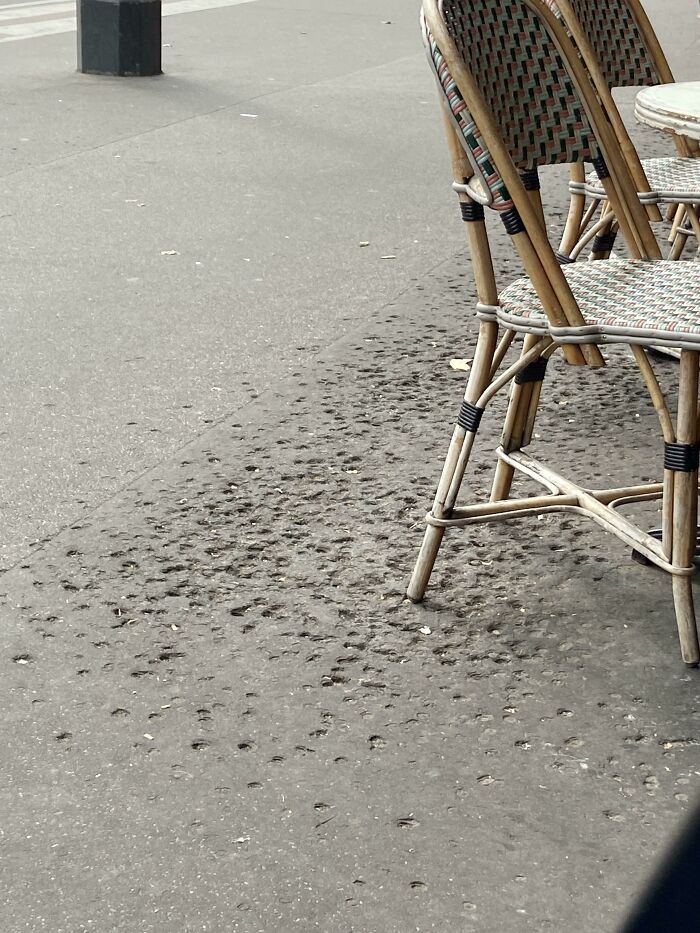 Worn pavement pattern from chair legs outside a cafe, showcasing things used over time.