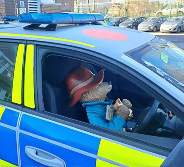 Paddington Bear statue in a police car, related to drunk military personnel incident.