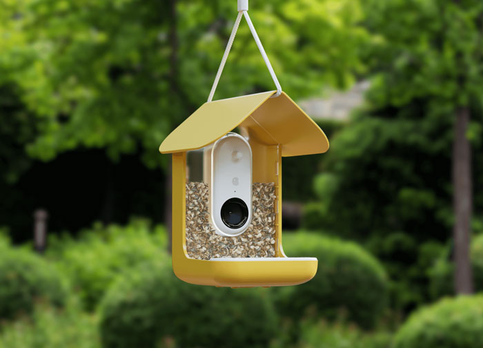 Yellow bird feeder gift hangs in a garden, surrounded by greenery. Yellow bird feeder gift hangs in a garden, surrounded by greenery.