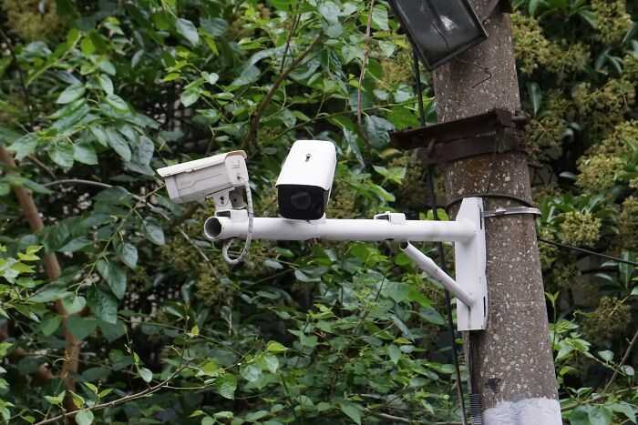 Surveillance cameras mounted on a pole surrounded by foliage, illustrating gradually disappeared technology trends.