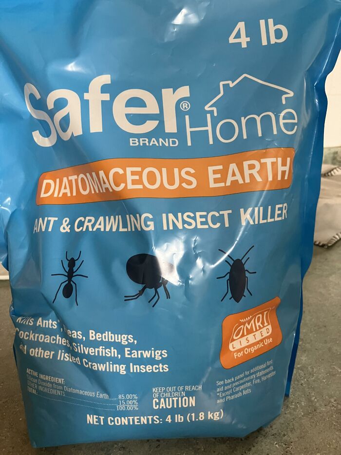 Bag of insect killer for home use, labeled diatomaceous earth, 4 lb package.