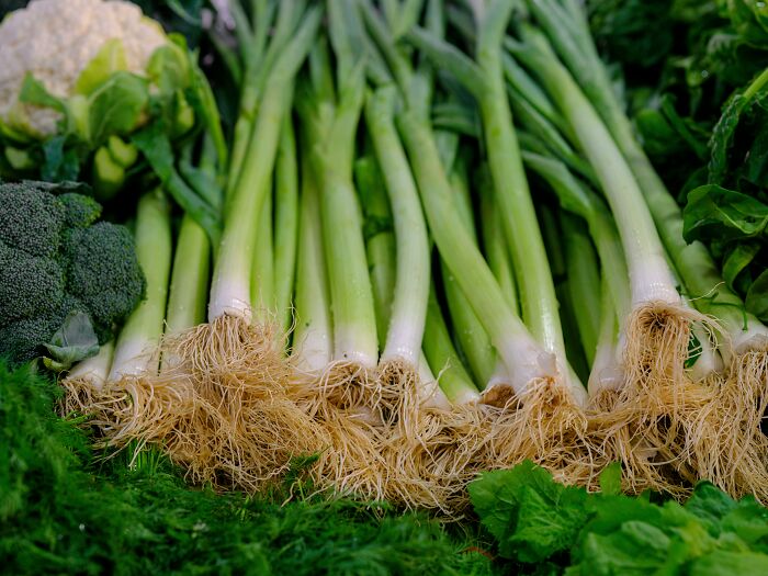 Fresh green onions and assorted vegetables, showcasing simple approaches to improve life.