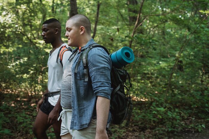Two friends hiking in a forest, possibly discussing reasons friendships change.