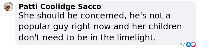 Comment criticizing Elon Musk, mentioning privacy concerns for children in the public eye.