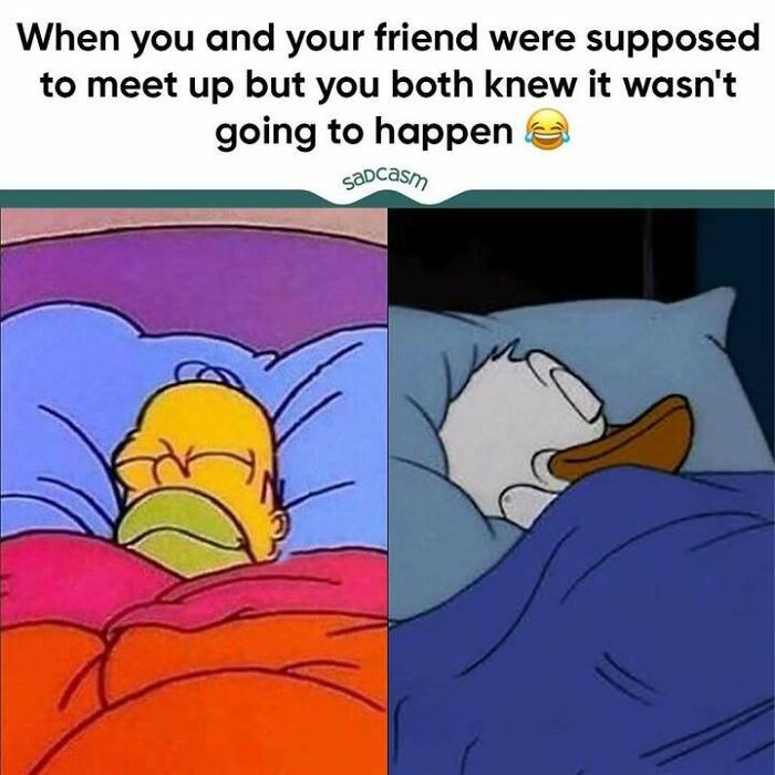 Cartoon characters sleeping humorously in a "sadcastic" meme about plans not happening.