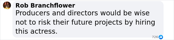 Comment discussing risks of hiring actress Rachel Zegler, related to 'Snow White' production issues.