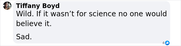 Text comment expressing disbelief about a scientific finding related to a rat autopsy.