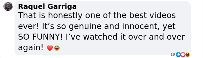 Comment praising the viral "BBC Dad" video for its genuine and funny nature, mentioning repeated enjoyment with emojis. Comment praising the viral "BBC Dad" video for its genuine and funny nature, mentioning repeated enjoyment with emojis.