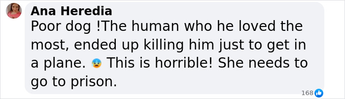 Comment on a post about a woman ending her dog's life after boarding denial.