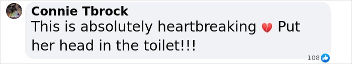 Comment expressing outrage about a woman denying her dog boarding.