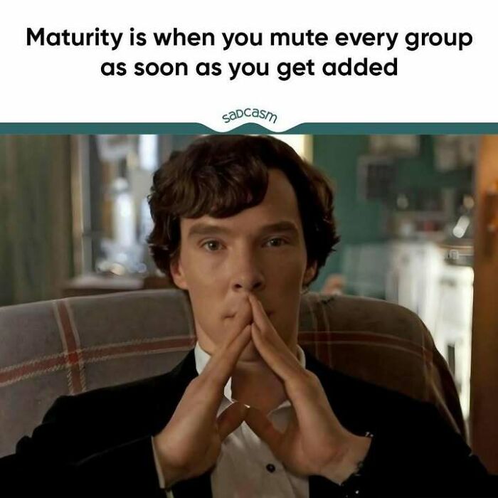 Sarcastic meme about instantly muting group chats for maturity.