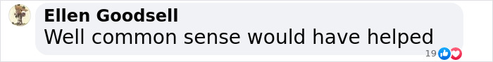 Screenshot of a comment by Ellen Goodsell saying, "Well common sense would have helped," with engagement icons. Screenshot of a comment by Ellen Goodsell saying, "Well common sense would have helped," with engagement icons.
