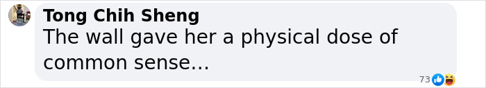 Chat screenshot with comment: "The wall gave her a physical dose of common sense. Chat screenshot with comment: "The wall gave her a physical dose of common sense.