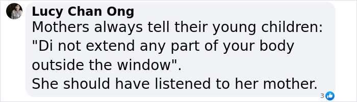 Text image with advice about not extending body parts out of windows for safety. Text image with advice about not extending body parts out of windows for safety.