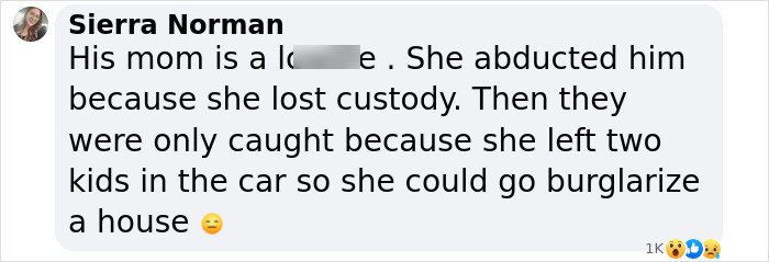 Sierra Norman's comment about an abducted boy's story from Netflix documentary. Sierra Norman's comment about an abducted boy's story from Netflix documentary.
