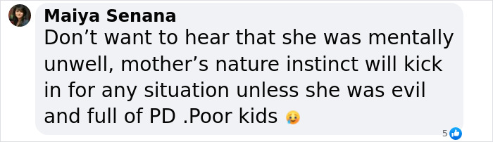 Comment discussing the actions of a "monster" mom and mental health in response to a tragic event. Comment discussing the actions of a "monster" mom and mental health in response to a tragic event.