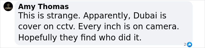 Comment discussing CCTV coverage in Dubai related to police claims of model's fall from building.